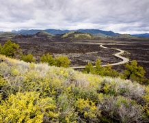 landmanagement_shutterstock main