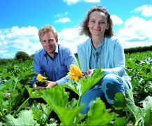 ESI Riviera Produce News Story